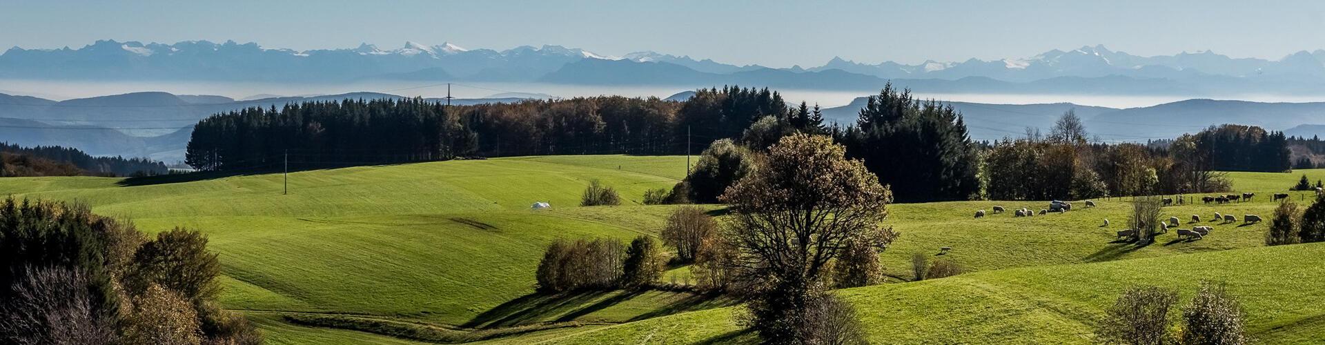 Landkreis Waldshut cover